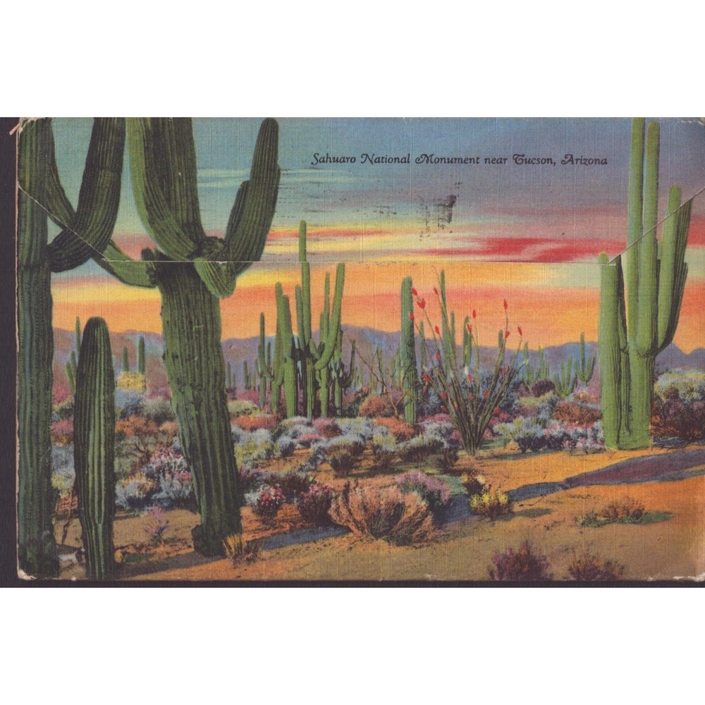 Tucson Arizona AZ San Xavier Mission Curt Teich 1936 Linen Postcard Posted 1951 - Picture 2 of 2